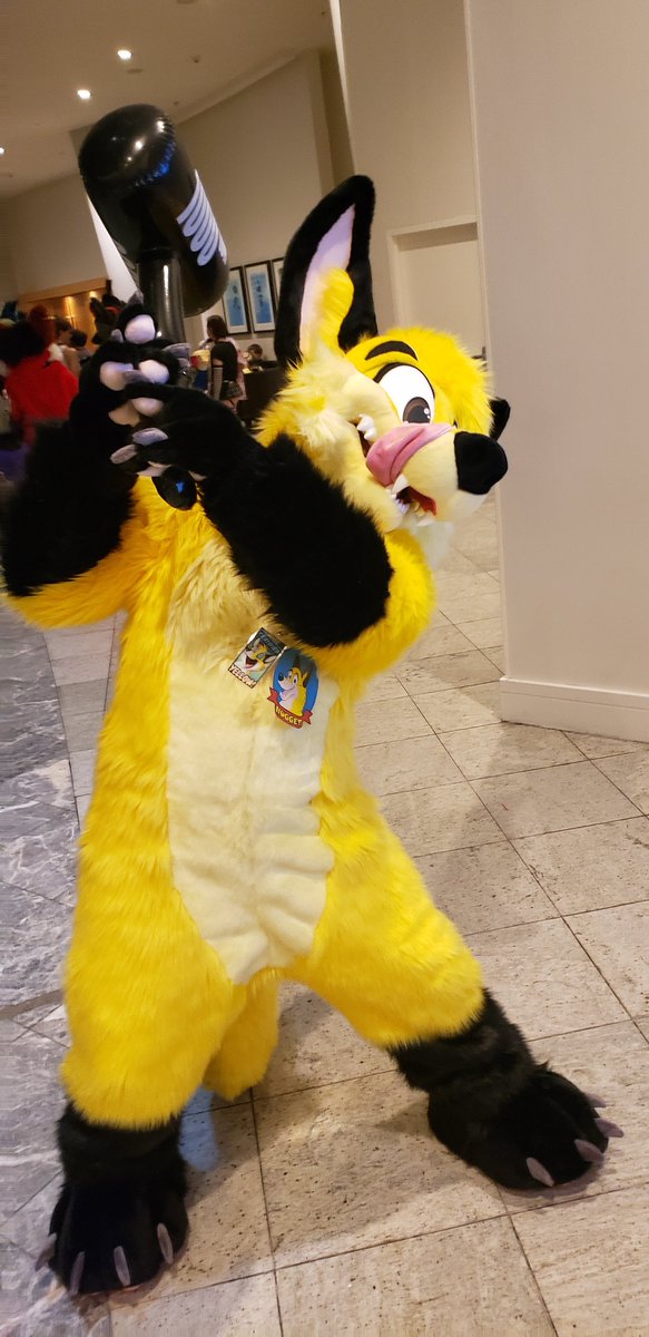 Nugget The Fox tweet media