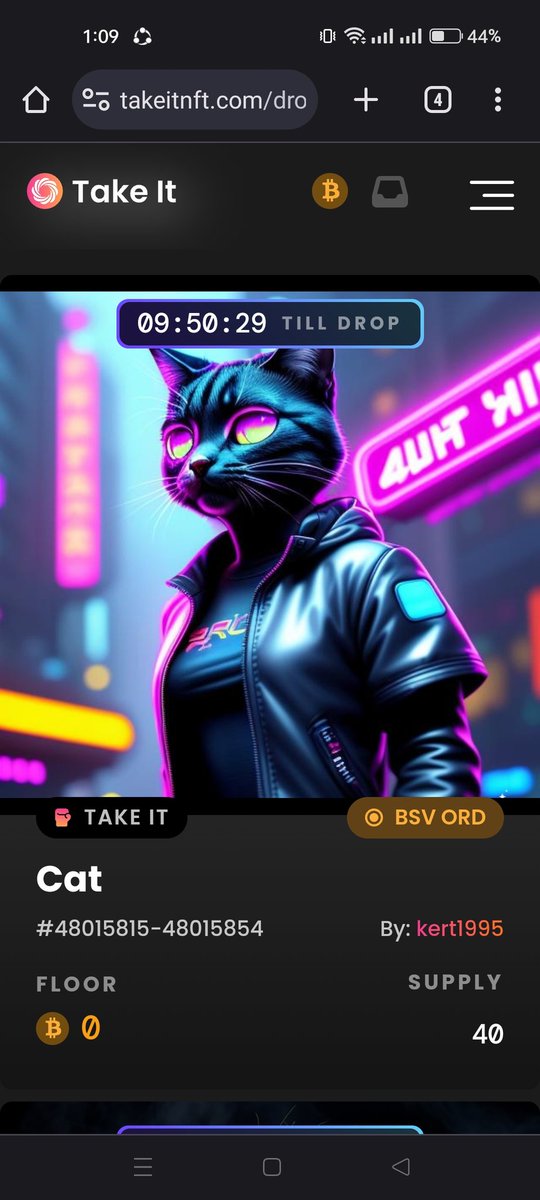 😺 Cat is on live @ 11 pm in <a href="/TakeItNFT/">Take It</a>