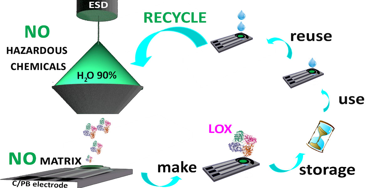 CNR-ISM Istituto Di Struttura Della Materia (@cnr_ism) on Twitter photo A new completely #green #biosensor for the detection of #lacticacid created using the Electrospray Deposition #ESD technique by the <a href="/CNR_ISM/">CNR-ISM Istituto Di Struttura Della Materia</a> with <a href="/SapienzaRoma/">Sapienza Università di Roma</a> <a href="/IC_CNR/">Institute of Crystallography</a> <a href="/cnr_igag/">CNR-IGAG</a> .
Reuse and storage performance at room temperature have been improved.
tinyl.io/9YXZ A new completely #green #biosensor for the detection of #lacticacid created using the Electrospray Deposition #ESD technique by the <a href="/CNR_ISM/">CNR-ISM Istituto Di Struttura Della Materia</a> with <a href="/SapienzaRoma/">Sapienza Università di Roma</a> <a href="/IC_CNR/">Institute of Crystallography</a> <a href="/cnr_igag/">CNR-IGAG</a> .
Reuse and storage performance at room temperature have been improved.
tinyl.io/9YXZ