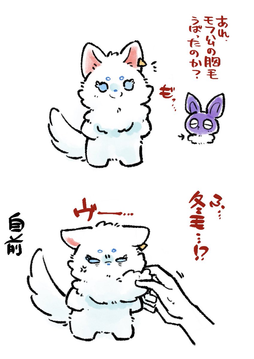 冬毛=^・ω・^=