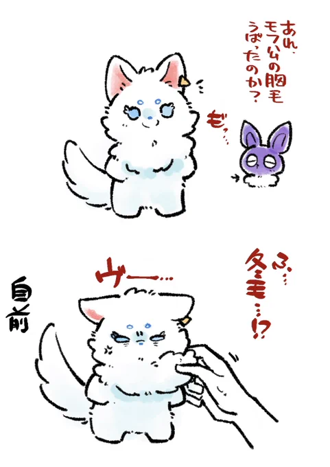 冬毛=^・ω・^=