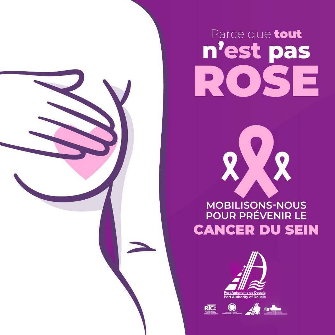 1 femme sur 8 sera diagnostiquée d’un cancer du sein au cours de sa vie. C’est énorme ! 
La mobilisation contre ce fléau doit être totale. La prévention (mode de vie sain, autopalpation des seins et mammographies périodiques) c’est la clé. 

#octobrerose
#cancerdusein