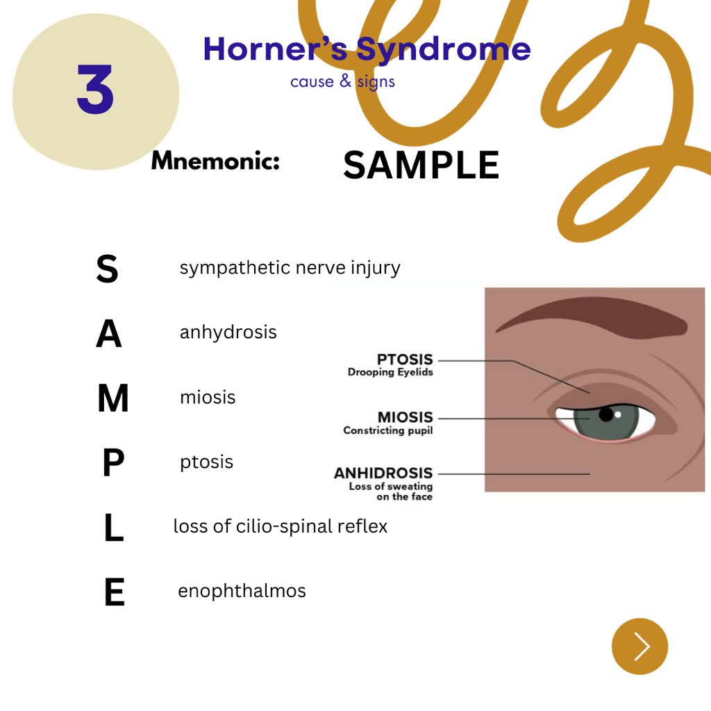Themedmorphosis's tweet photo. #MedStudentLife #MedSchool #MedStudentTwitter #MedicalEducation #MedicalTwitter #MedEdChat #MedSchoolProblems #MedStudentLife #MedTwitter #MedCommunity #MedInspiration #MedMotivation #MedStudentStruggles #MedTwitterCommunity #MedTwitterChat  #TheMedmorphosis #HealthcareLeaders https://t.co/QXMTGeUqfD
