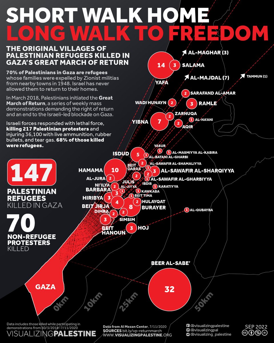Visualizing Palestine tweet media