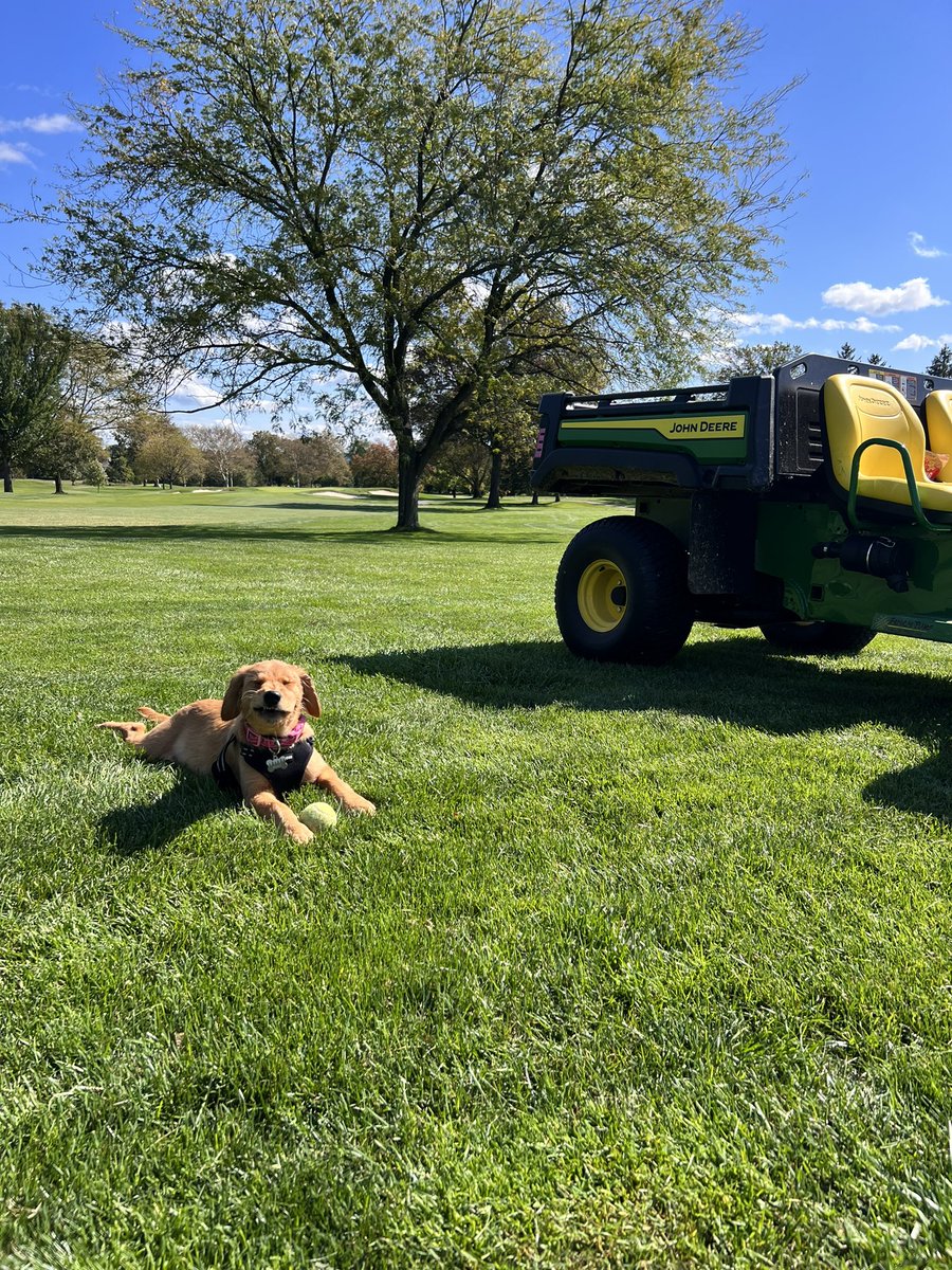 Michael Sheehan tweet media