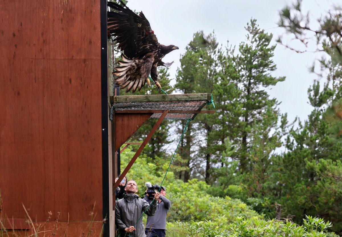 🦅 A 28% increase in funding for <a href="/NPWSIreland/">National Parks and Wildlife Service</a>, which has risen under my watch from €28m p/a in 2020 to €67.5m for 2024. That’s €€ to expand and enhance our national parks, bring back lost species, get more rangers on the ground, and tackle wildlife crime and invasive species.