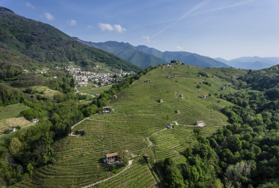 Swirl Wine Group tweet media