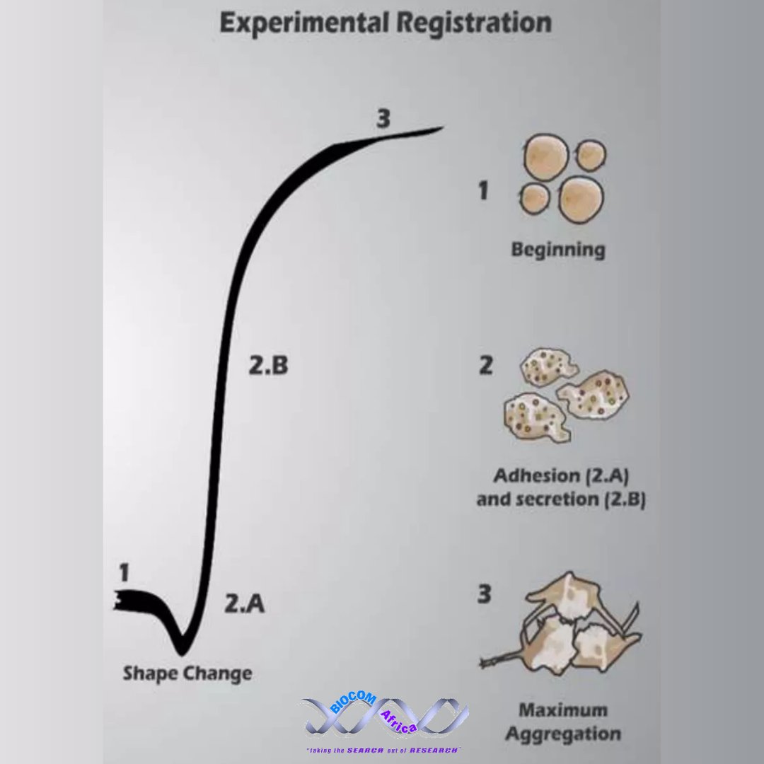 biocomafricarsa's tweet photo. #platelet aggregometry tests evaluate #plateletfunction through exposing the blood to various activating substances. Aggregation is measured at certain times to draw a conclusion or made a diagnosis. Each phase of #aggregation can be viewed during the testing procedure #WEareBIOM https://t.co/8ZD5WNQaMf