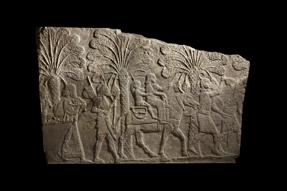 Ashmolean Museum tweet media