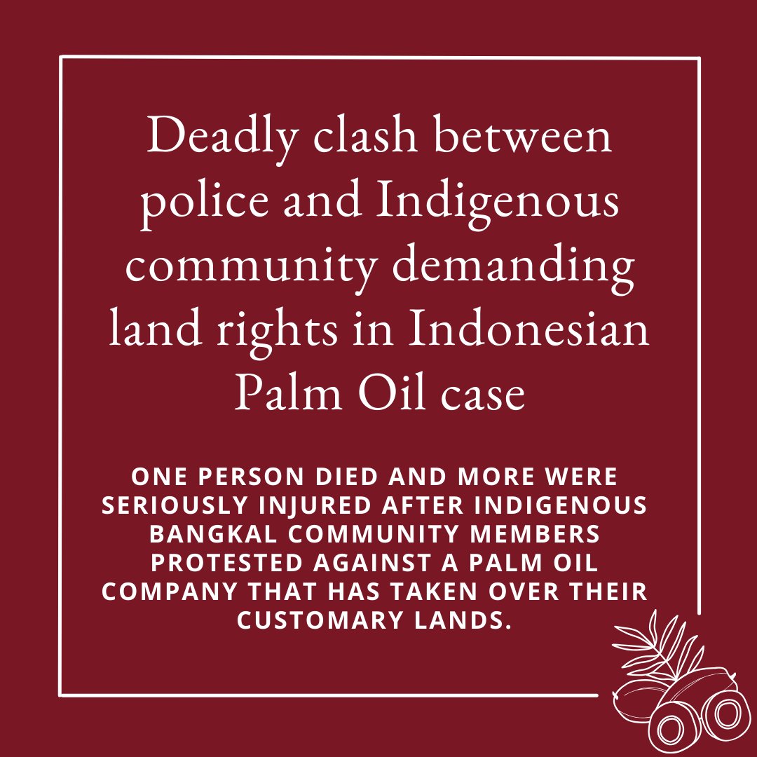 Forest Peoples Programme tweet media