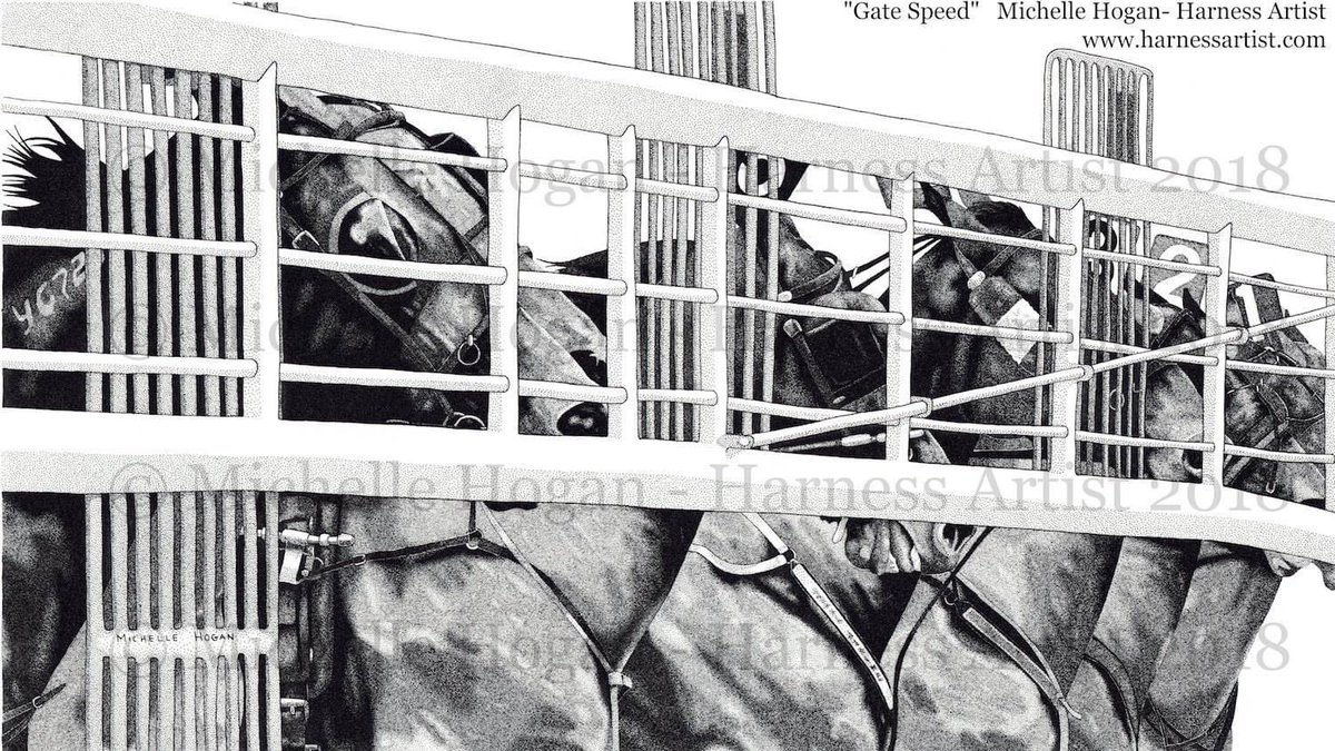 Michelle Hogan tweet media