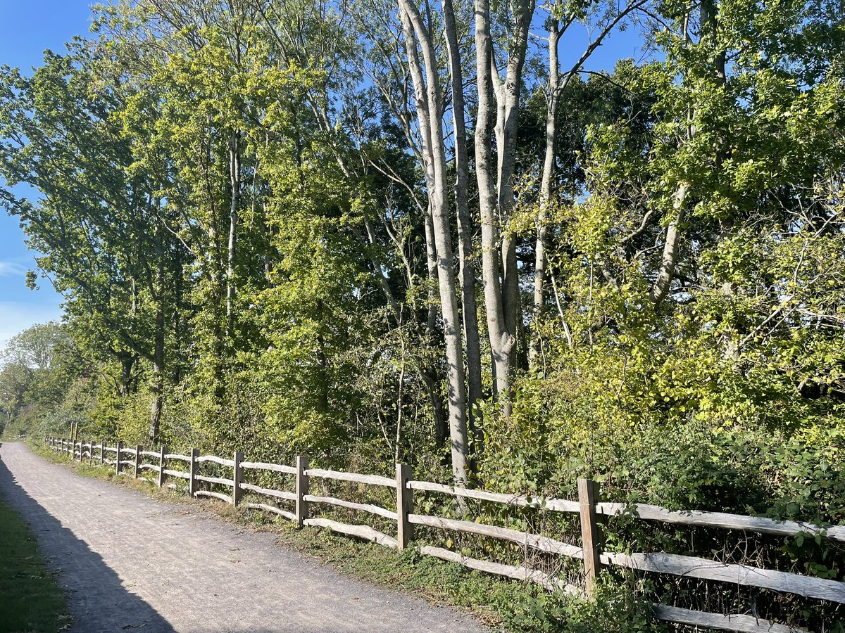 SapperGeoBlast's tweet photo. Putting in the miles on a sunny Tuesday.
#trainingdiary #keeprunning #everyday1% https://t.co/Rnx8iyI7MS