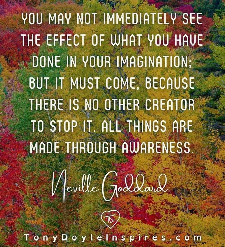 mysteriousitgal's tweet image. 🌟🌟🌟