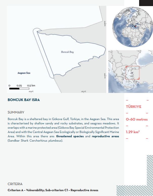 SharkRayAreas's tweet photo. Today's featured Important Shark and Ray Area is Boncuk Bay in TÜrkiye.
Learn more about the Mediterranean and Black Sea ISRAs in our new compendium: https://t.co/cjJWvAhofX
Learn more about us: https://t.co/LuMUnPl6i9 https://t.co/3SJvPka0v9