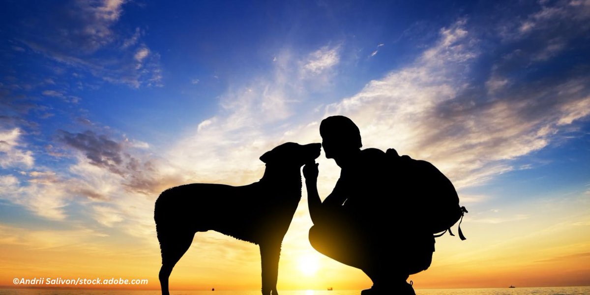 wandern_de's tweet photo. #Zum #tagdeshundes stellen wir Euch hier unsere schönsten Wanderreisen mit Hund vor! 🐕🐩🐕‍🦺🦮 https://t.co/tTn17n2hA5 🥾🐶

#wandernmithund #individuellwandern #hundeliebe #wandernmithunden https://t.co/YYxVMSqYSm