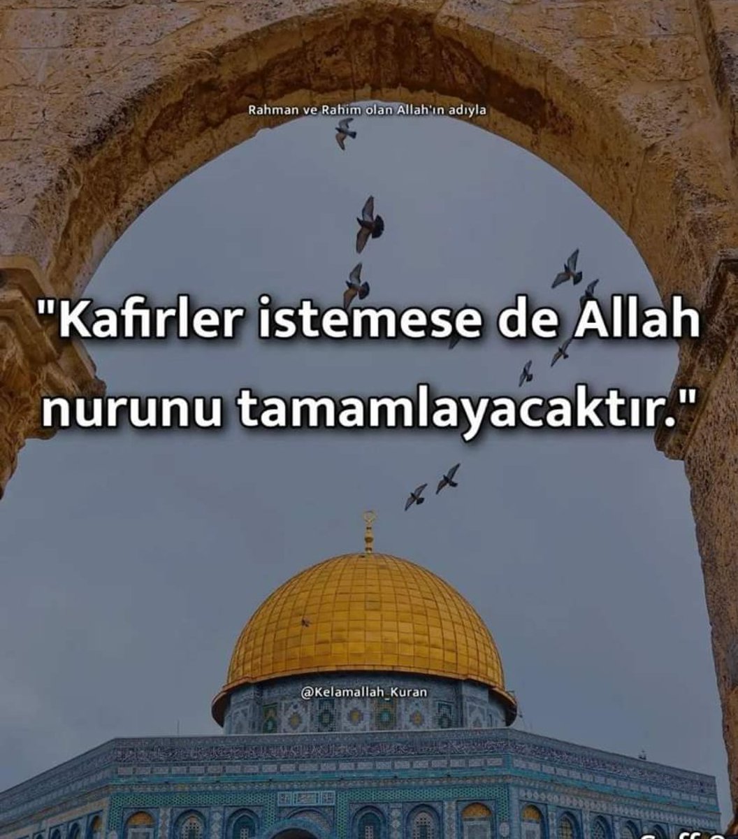 vedat özkılıç (@ozkilic_vedat) on Twitter photo 