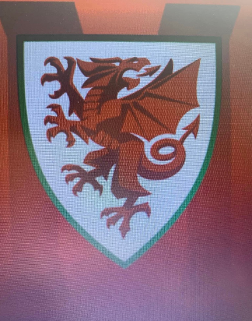 FayRix1's tweet photo. Unbelievably proud of our boy. Alfie has been invited to join the Wales u13 regional squad! Enjoy every minute, you truly deserve it! 💙⚽️ @StTeilos @stteilos_PE @CVSFA @BristolRoversCT https://t.co/ioshgKYcNe