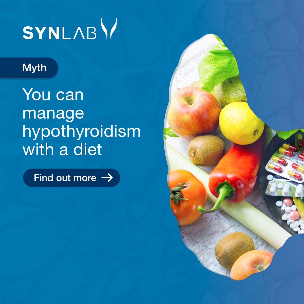 SynlabNG's tweet photo. While diet can play a role in managing hypothyroidism, it's not enough to rely on diet alone. Thyroid medication is essential for bringing hormone production to a normal level and managing symptoms.
#hypothyroid #thyroidissues #autoimmune #thyroidsupport https://t.co/j7M7CrBnVf