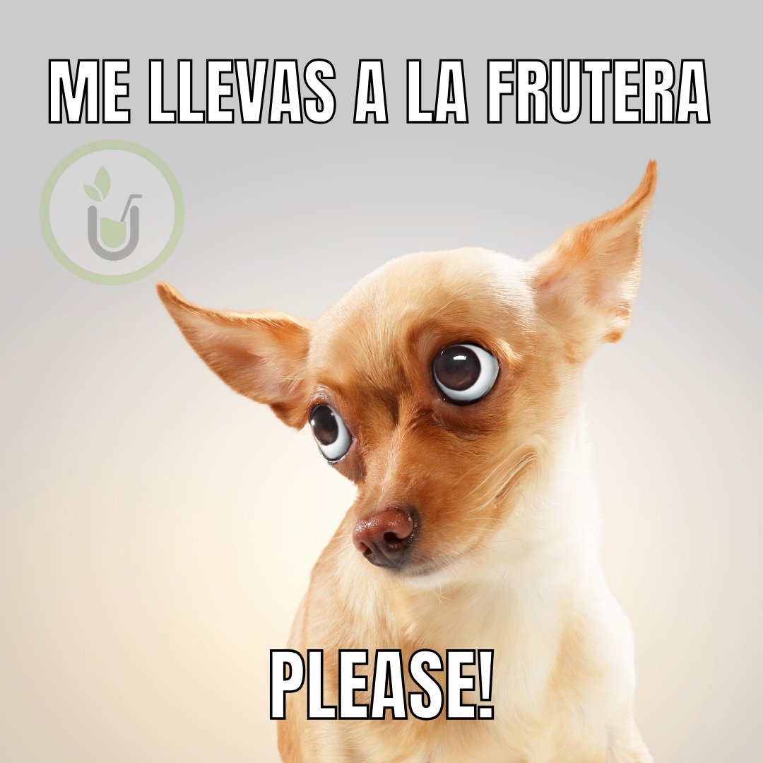 No voy a decir quién soy.📷