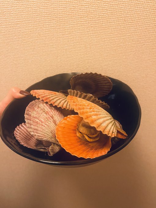 貝にチャレンジ✌️ https://t.co/poinBwI7HK