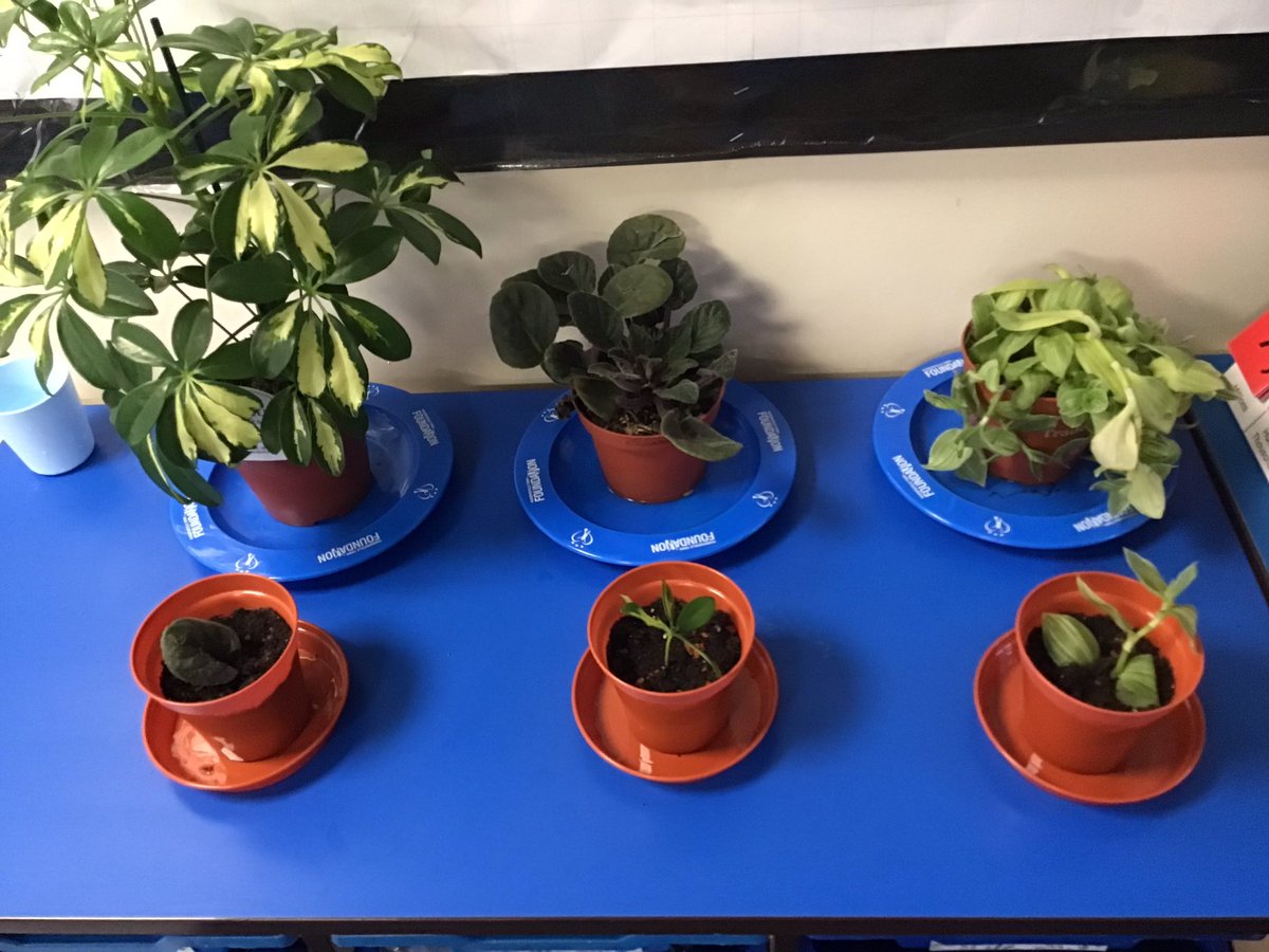 Chestnut_OrchardPA tweet media