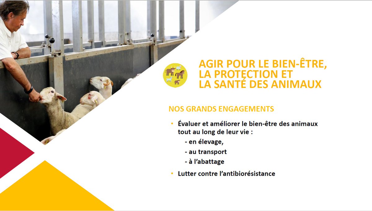 InterbevAuRA's tweet photo. @CopamacSidam @Interbev_fr @GGauthier71 : 
Au travers du #PacteSociétal, nous menons des engagements forts &amp; ambitieux. Dep 6 ans, il constitue le socle de la stratégie d’@Interbev_fr  &amp; bcp d’actions ont été mises en place.... #Elevage #ViandeDurable https://t.co/3HYVdfRWHO