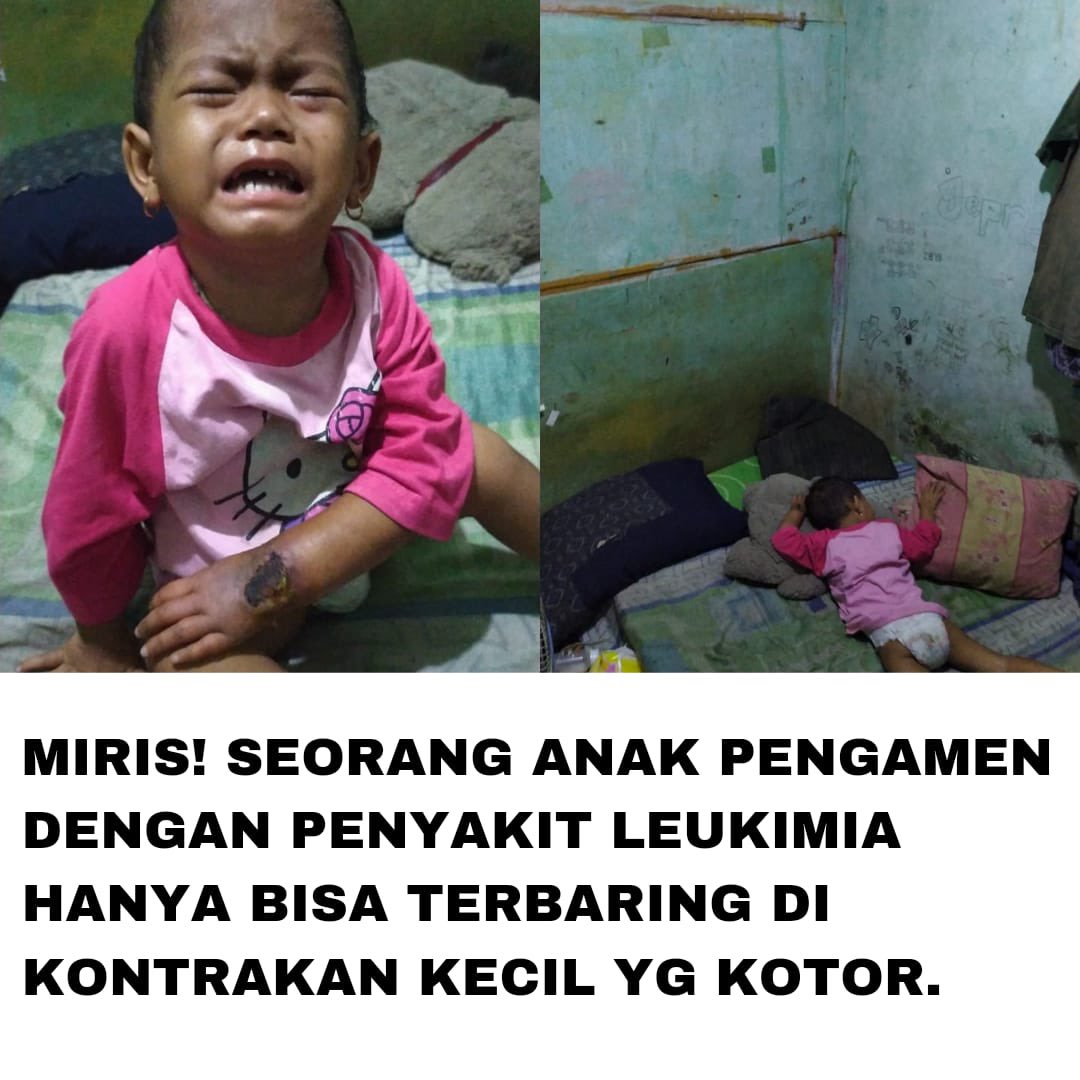 sosmed keras tweet media