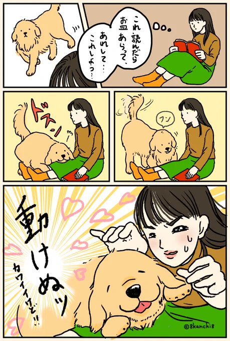 あるある
#ゴールデンレトリバー
#犬あるある 