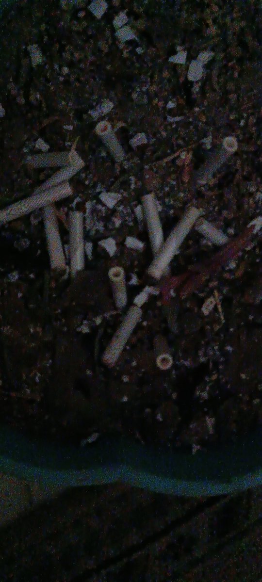 sre_60's tweet image. یک #تراپیست لطفا 
که فقط منو تایید کنه !! 
#help_me