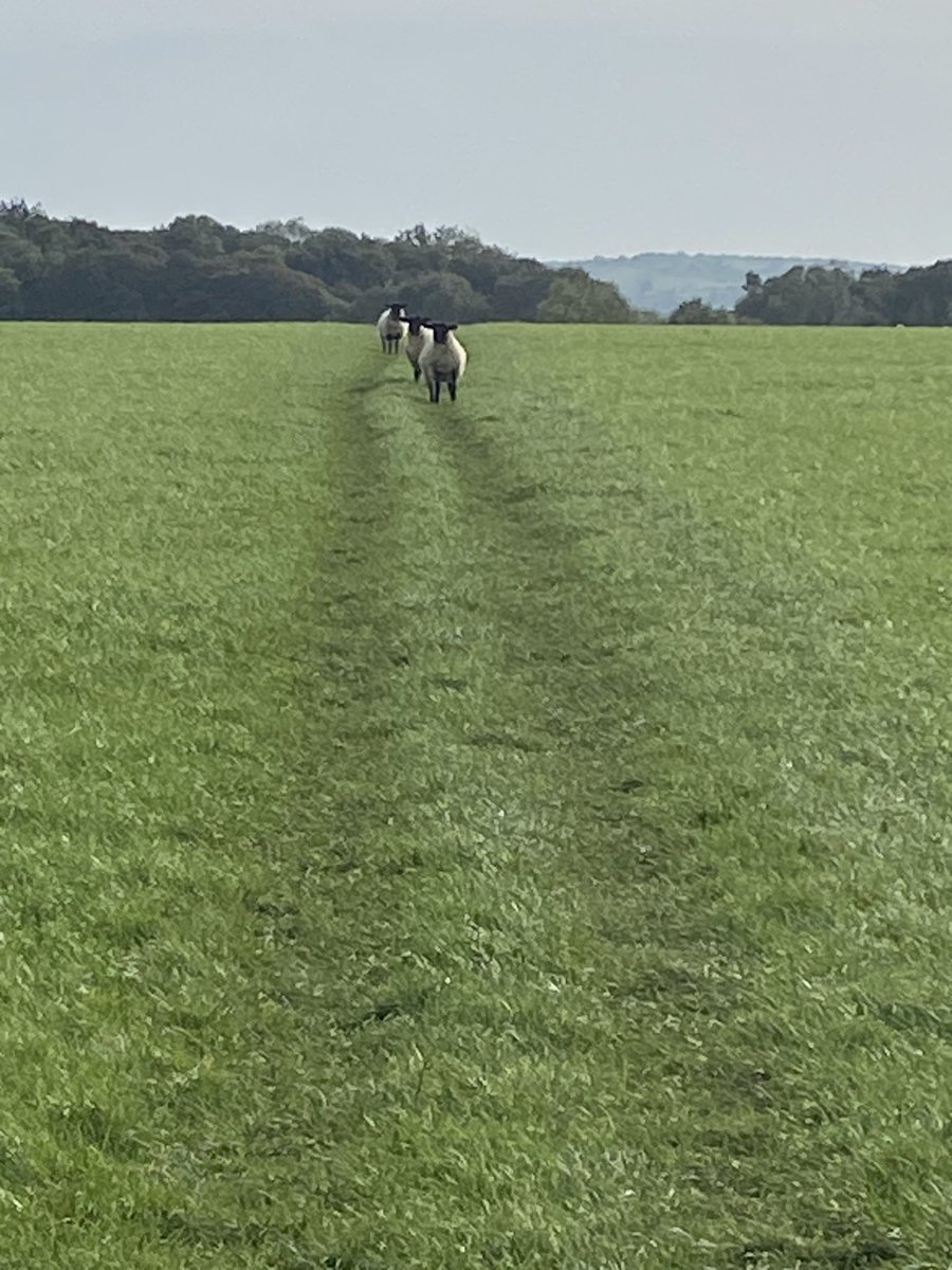peakrunner47's tweet photo. Such a peaceful time out this morning,didnβt feel good before I went but the minute I got there felt instantly betterπpeacefulness is so powerful #LathkillDale #Monyash https://t.co/GrLL9Ijoim