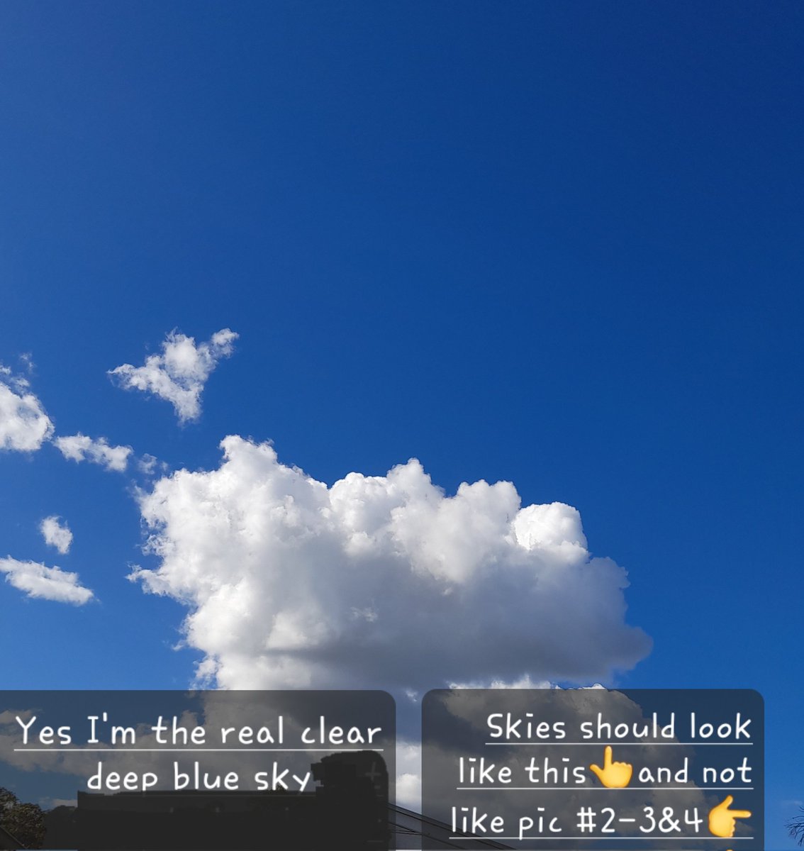wanderinganimal's tweet photo. @unionizebabylon @MollyGalt @Loggerhead_ @gcb910 @nosinin @germor53 @Reeev0 @TheFrankmanMN @BrianOSheaSPI @bendercock2 @StratoGalleon @OpChemtrails @BOM_au @MRobertsQLD @jconnor19662 @GPanderino @planehashtagreg @DelArlena @padrehomestead @MagtathMaggie @LauraWanek @daystar1952 @allycl17 @fergpaint19075 @SLewisia @HAARPDXing2017 @RobertKennedyJr @lbox327 @DanPeacock12 @Kal1_Furies @ozandywirth @Barton3Sbarton @sickofitall2222 @DBestrong @GostaLoveMoney @Brandonburgett_ @GovRonDeSantis @nickmyer So Wally, you think if you don't see (aerosols=✈) planes==✈ spraying they're not spraying? your vid/pic show toxic hazy sky, definitely not real blue or clear.

I can see it's all drifting your way, they fly/spray according to wind direction to cause a drift.
Real blue/haze👇 https://t.co/i8Qo6kze2a