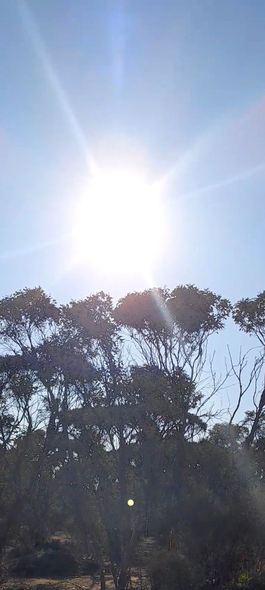 wanderinganimal's tweet photo. @unionizebabylon @MollyGalt @Loggerhead_ @gcb910 @nosinin @germor53 @Reeev0 @TheFrankmanMN @BrianOSheaSPI @bendercock2 @StratoGalleon @OpChemtrails @BOM_au @MRobertsQLD @jconnor19662 @GPanderino @planehashtagreg @DelArlena @padrehomestead @MagtathMaggie @LauraWanek @daystar1952 @allycl17 @fergpaint19075 @SLewisia @HAARPDXing2017 @RobertKennedyJr @lbox327 @DanPeacock12 @Kal1_Furies @ozandywirth @Barton3Sbarton @sickofitall2222 @DBestrong @GostaLoveMoney @Brandonburgett_ @GovRonDeSantis @nickmyer So Wally, you think if you don't see (aerosols=✈) planes==✈ spraying they're not spraying? your vid/pic show toxic hazy sky, definitely not real blue or clear.

I can see it's all drifting your way, they fly/spray according to wind direction to cause a drift.
Real blue/haze👇 https://t.co/i8Qo6kze2a