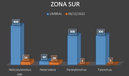 Proin Turf tweet media