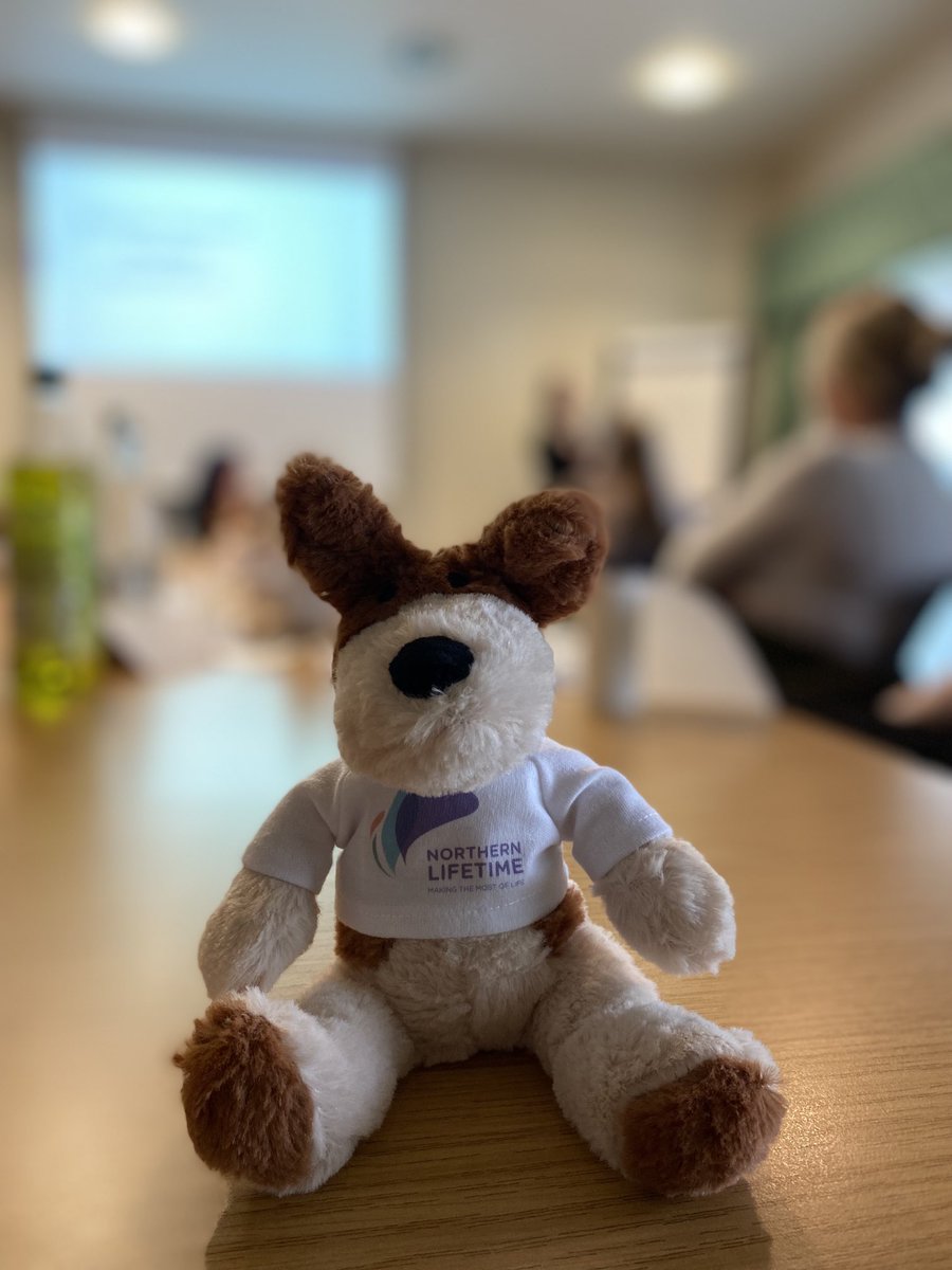 Northern Lifetime team are having a great day together in Sheffield today!