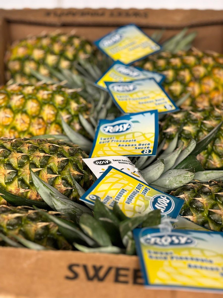 Class One tweet media