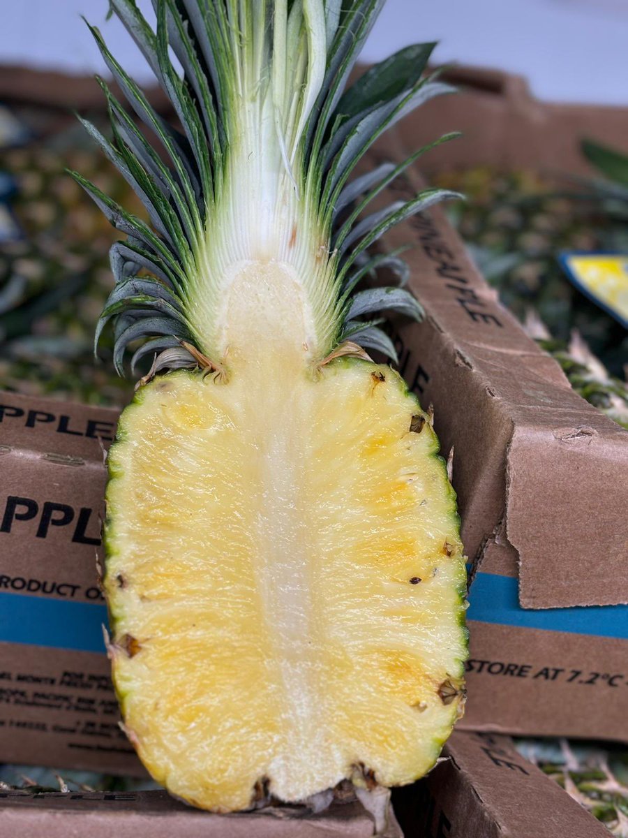 Class One tweet media