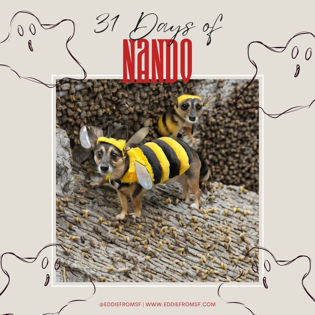 eddiefromsf's tweet photo. Buzzing with happiness and spreading love on #WorldMentalHealthDay ππ§‘π Follow us to see more! #31DaysOfNando #Nando #DogsOfStateFarm #OfficeDog #WorkDog #Halloween #PetCostume #BadAI #BusyBee https://t.co/k9XQaSuVCX