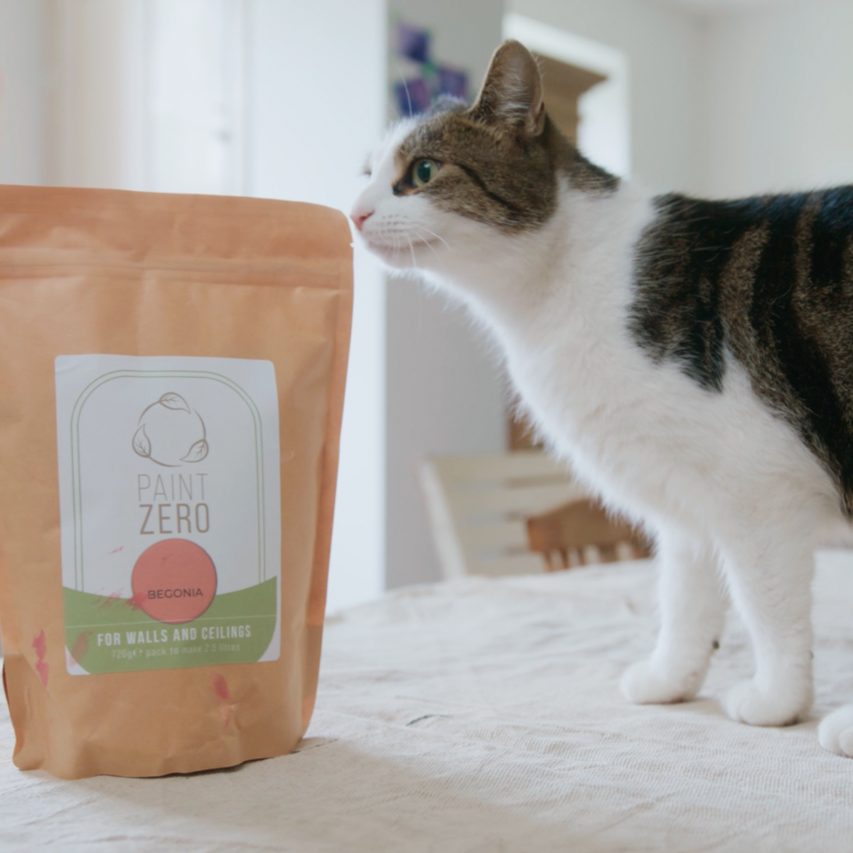 Paint Zero tweet media