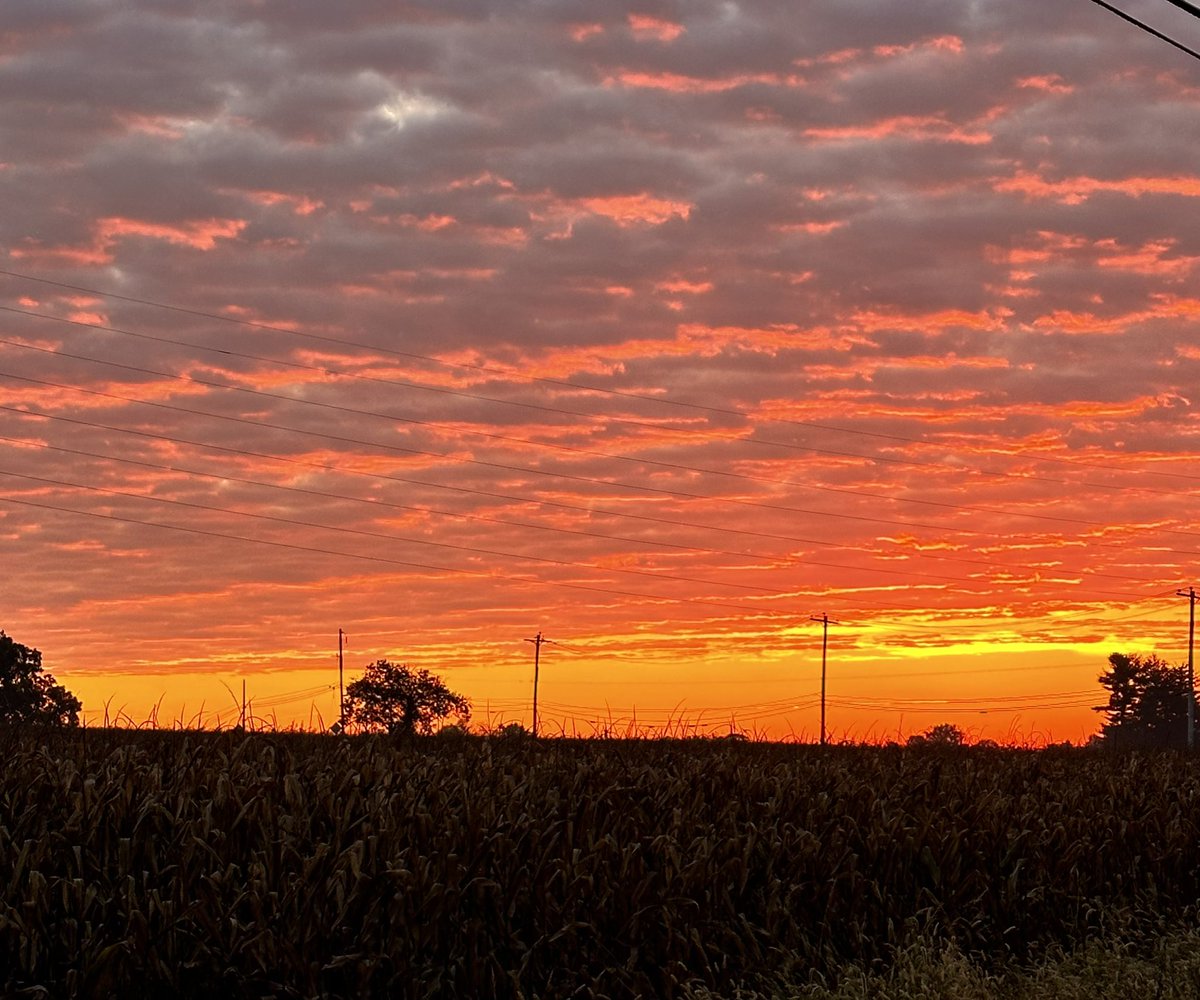 kristavenza's tweet photo. Beautiful drive into school today. #sunrise #goodmorning #HappyTuesday #drivetoschool https://t.co/Mf3GkY8RBy