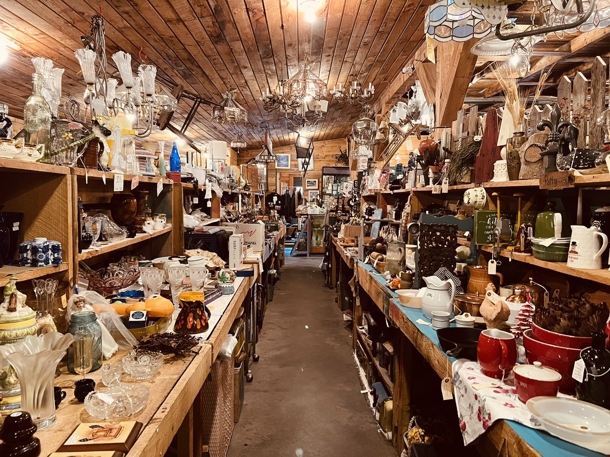 Chelsey Grasso tweet media