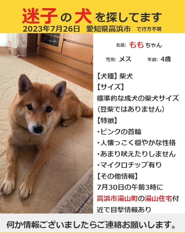 wata3dx's tweet photo. 10/9に碧南市の衣浦クリーンセンター付近にて、ももに似た犬の目撃情報がありました。
少しでも何か知っている方がいましたら、ご連絡お願いいたします。

#迷い犬 #保護犬 #行方不明 #愛知県 #高浜市 #碧南市 #刈谷市 #安城市 #西尾市 https://t.co/KuLE0gwJDX