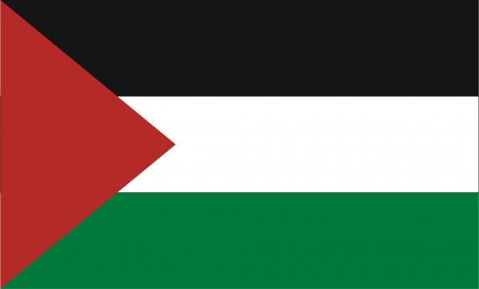 RPain94's tweet photo. La situación que se vive en Palestina desde hace tantos años es inhumano. Desgraciadamente los Estados capitalistas prefieren dar su apoyo a los poderosos, aunque estos asesinen e invadan un país entero. https://t.co/IS4Vitd9xu