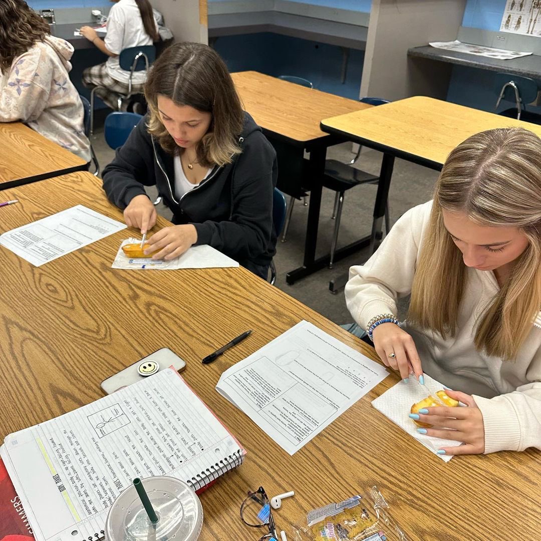 GulfShoresBOE's tweet image. Repost from @gshs_sportsmed
•
Foundations of Health Science students practiced their anatomical directional terms today! They completed a dissection lab and labeled their patient with different directional terms used in health care! #HealthScienceAcademy #Anatomy
