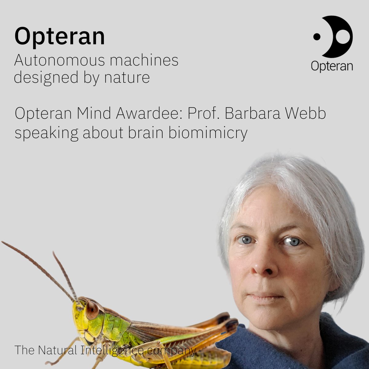 Worth a watch! lnkd.in/e96U5gUE Recording of Prof. Barbara Webb's talk at @Opteran Lab – 'Understanding the bee-line: the visual and neural mechanisms of insect navigation' #SLAM #Robotics #NaturalIntelligence #AdaLovelaceDay #WomenInSTEM