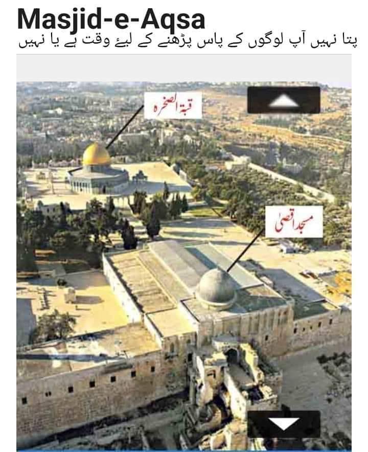 آپ کے بچے بھلے آپ سے پوچھیں یا نا پوچھیں، آپ انہیں یہ ضرور بتایا کیجیئے کہ ہم فلسطین سے اس لیئے محبت کرتے ہیں کہ:
01: یہ فلسطین انبیاء علیھم السلام کا مسکن اور سر زمین رہی ہے۔
02: حضرت ابراہیم علیہ السلام نے فلسطین کی طرف ہجرت فرمائی۔
03: اللہ تبارک و تعالیٰ نے حضرت لوط علیہ