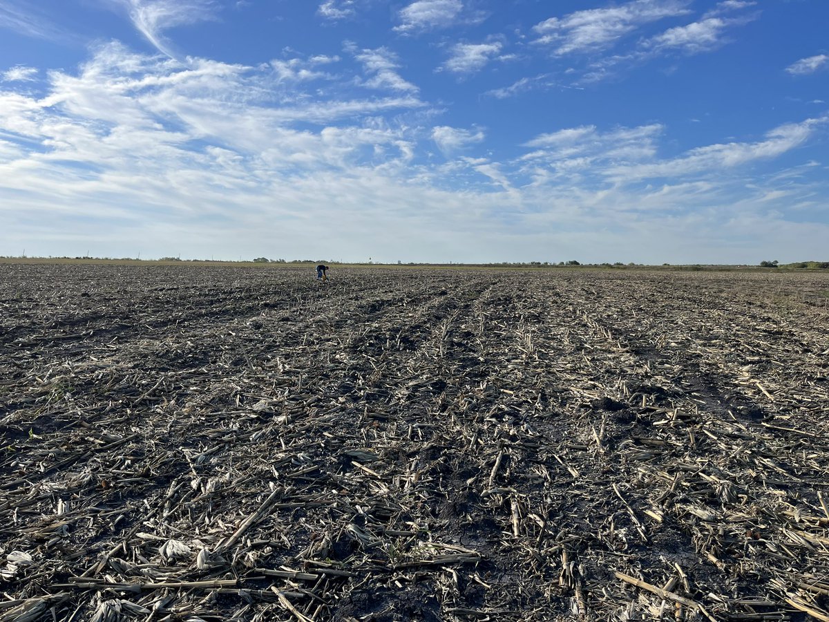 Grace Flusche Ogden tweet media