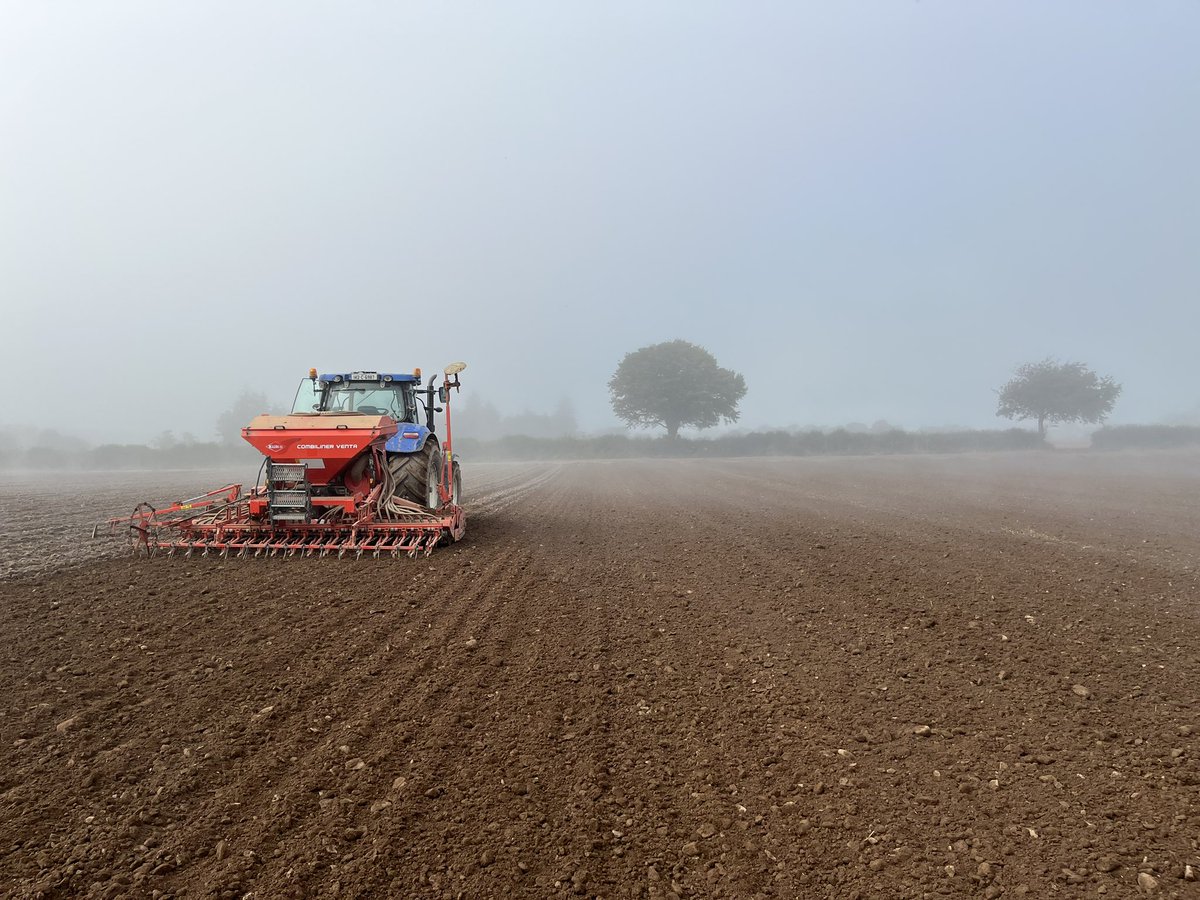 One step closer to Harvest 2024, Havest23 👋 Winter Barley going in at home &amp; <a href="/Goldcrop/">Goldcrop</a> trials #Tardis #Integral #Dawsum <a href="/John_Dunne_/">John Dunne</a>