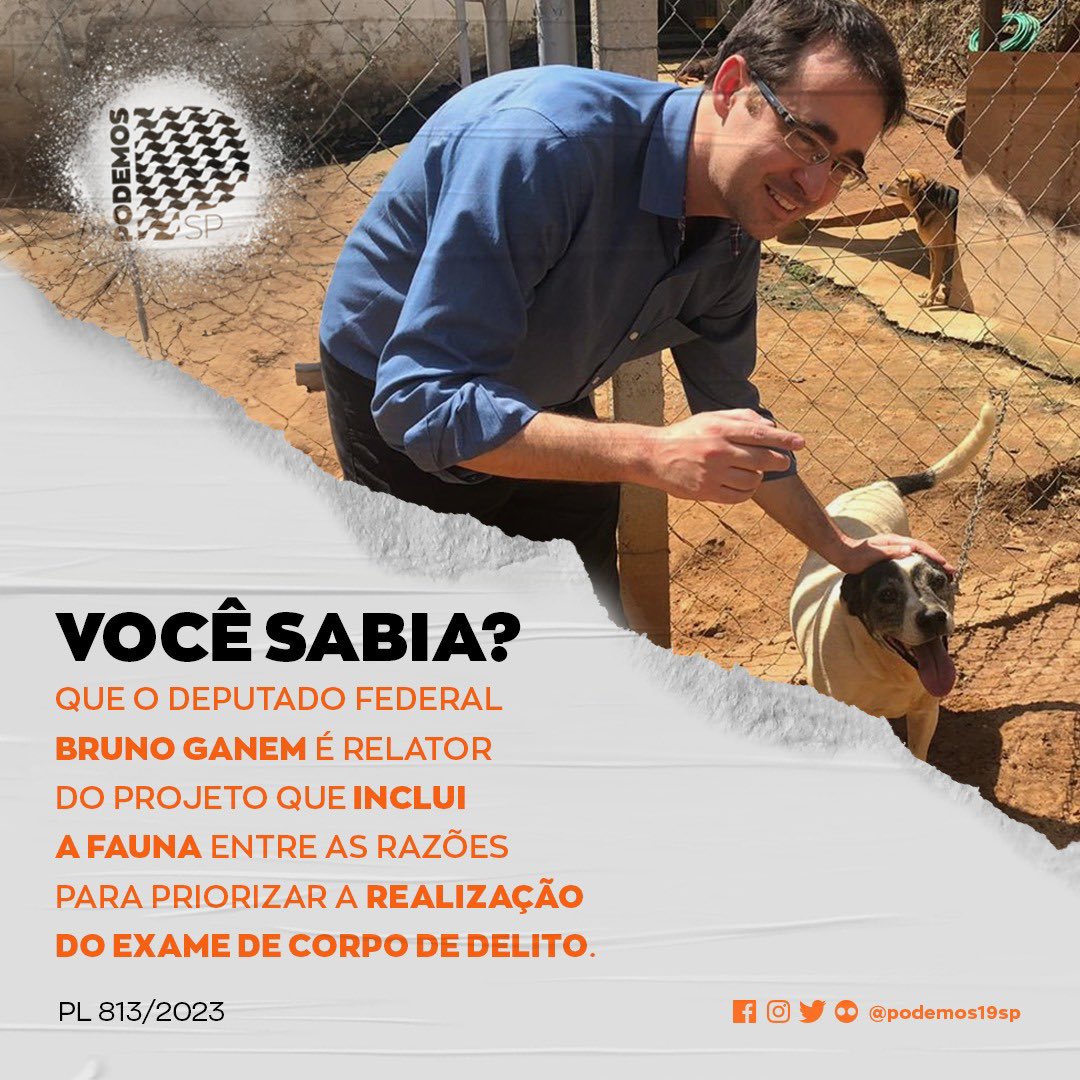 podemos19sp's tweet photo. Crimes contra a fauna exigem provas periciais 🔍 para a efetiva punição dos criminosos!
Comente se você concorda com esse projeto. 💬👇

#PodemosSP #Podemos #CausaAnimal #BrunoGanem https://t.co/oU9YBKWVq7
