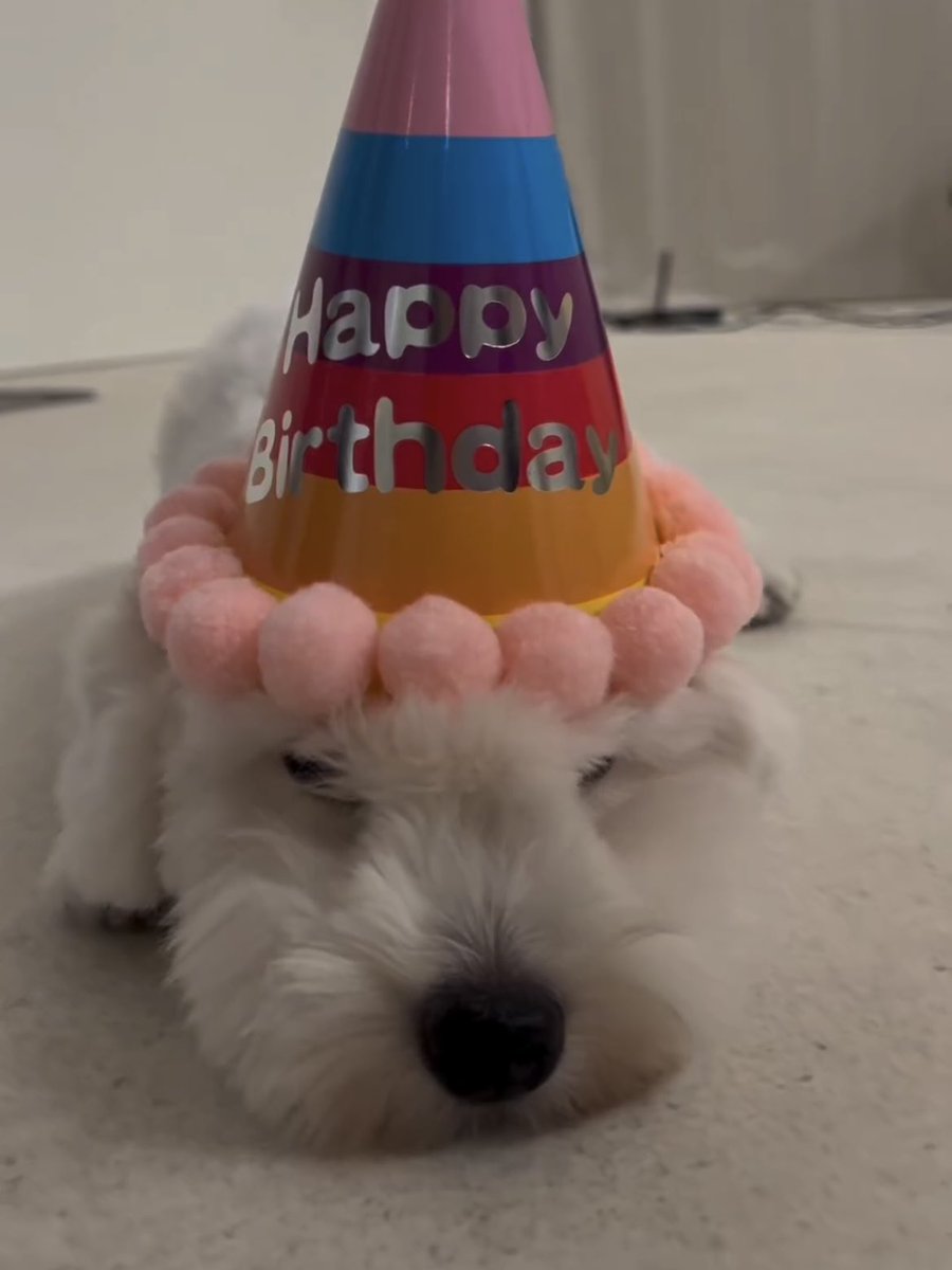 틀그찾을해보세요