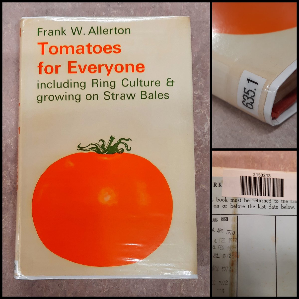 OrkneyLibrary's tweet photo. Our VERY overdue tomato book has now been given a shiny new cover, a new number and it's been catalogued so it can be borrowed again, 50 years after it was last borrowed. 🍅 https://t.co/1uVzHG7RI4